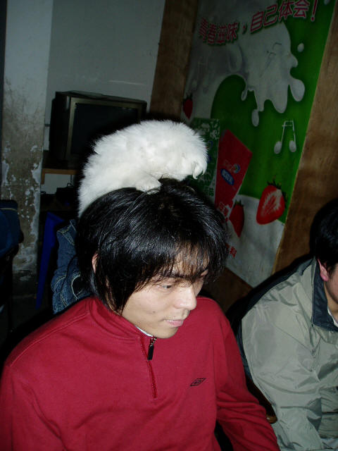 ������ƤƤñ�����������ʸ��Ҳ������е�·��Ӵ��555��