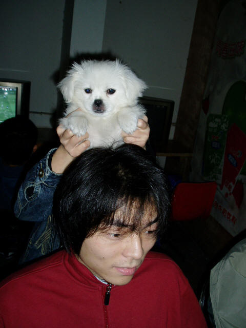 �����������㣬�ԡ�